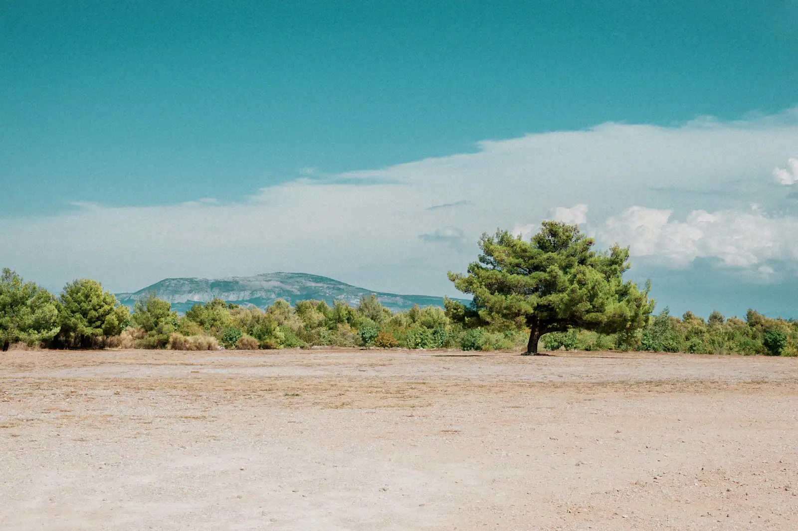 Green countryside in the inland of Istria, Croatia