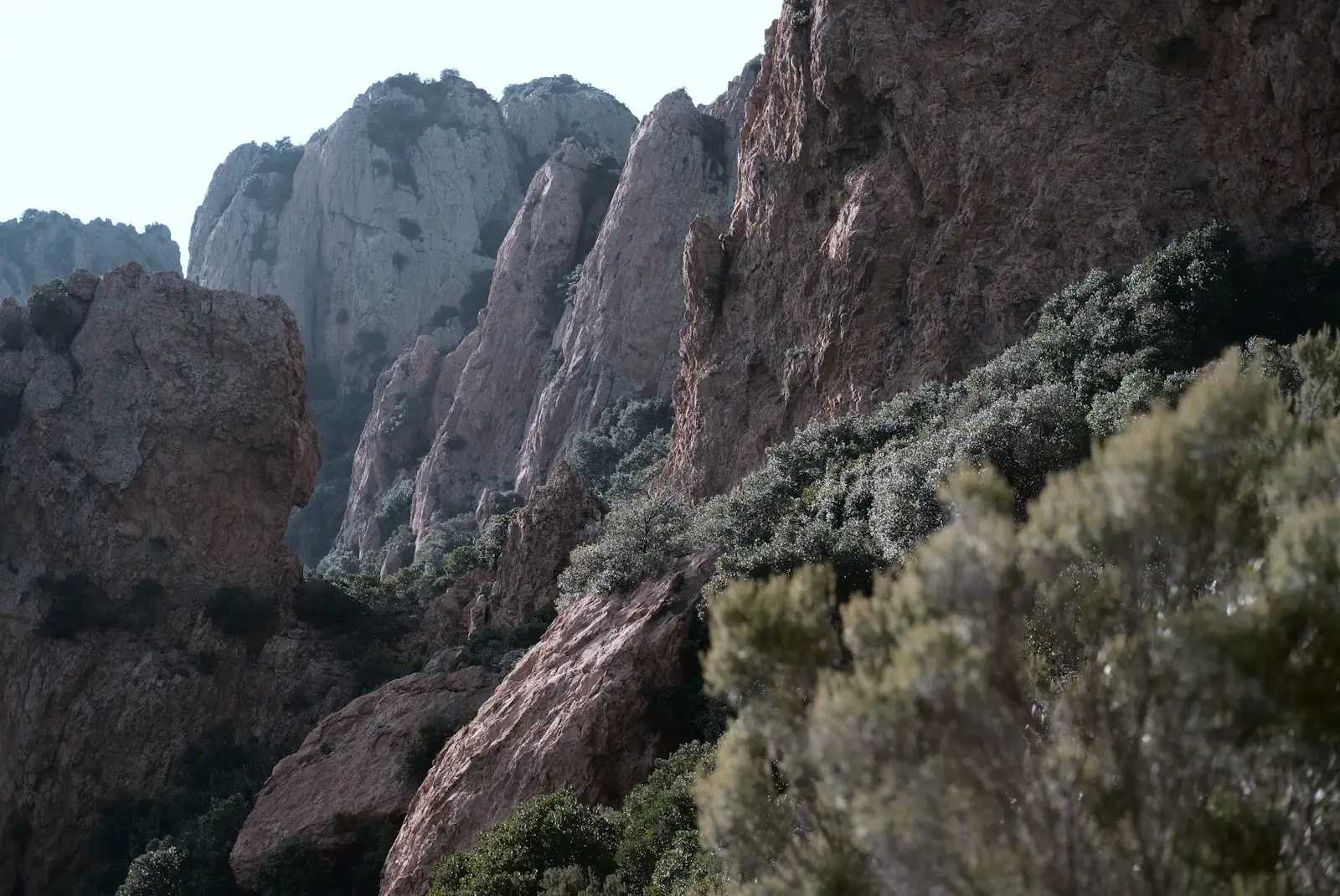 Steep grey limestone karst cliffs above pine trees in the Velebit mountains, Croatia