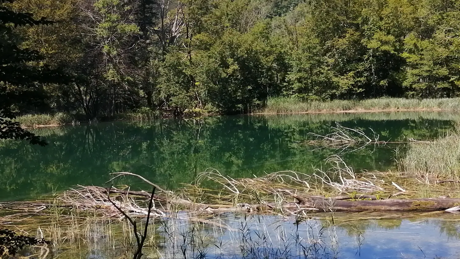 The upper lakes of Plitvice Lakes National Park with wooden walkways through the water, Croatia