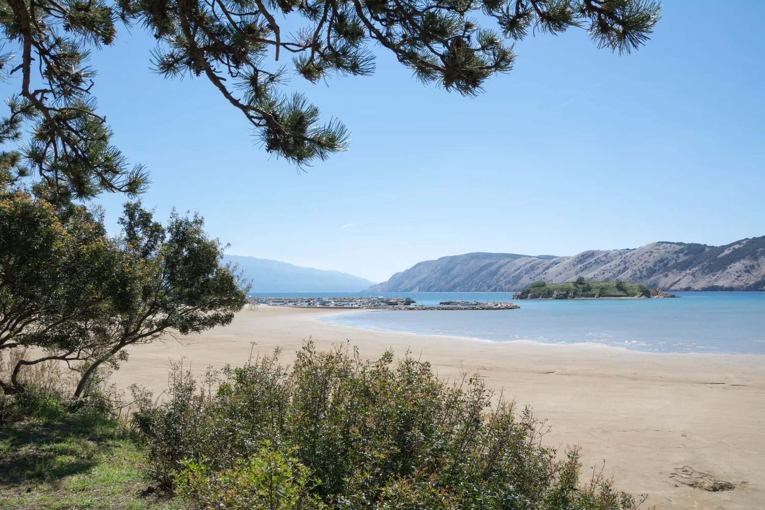 Wide sandy beach with shallow water and pine trees at Lopar on the island of Rab, Croatia