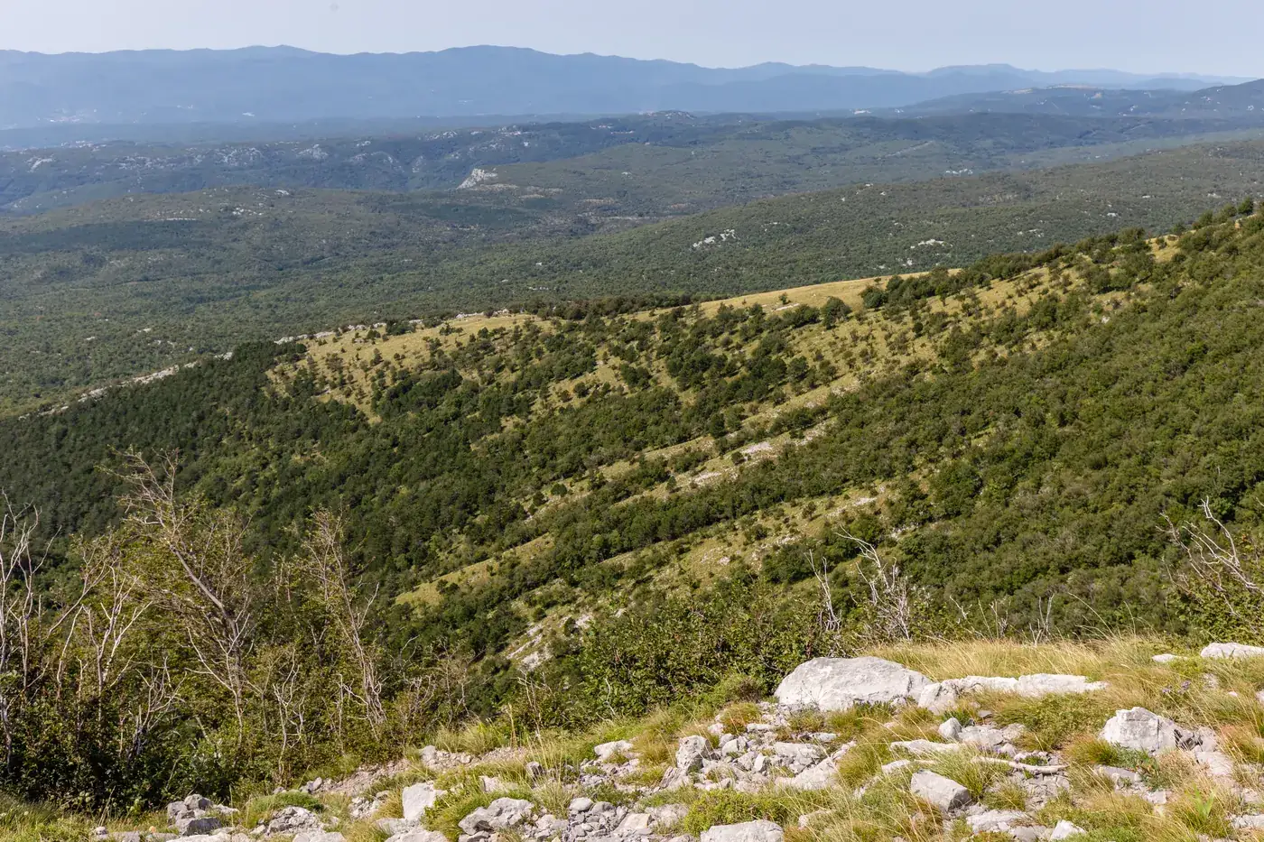 Forested slopes and grassy clearings of the Gorski Kotar highlands in Risnjak National Park, Croatia