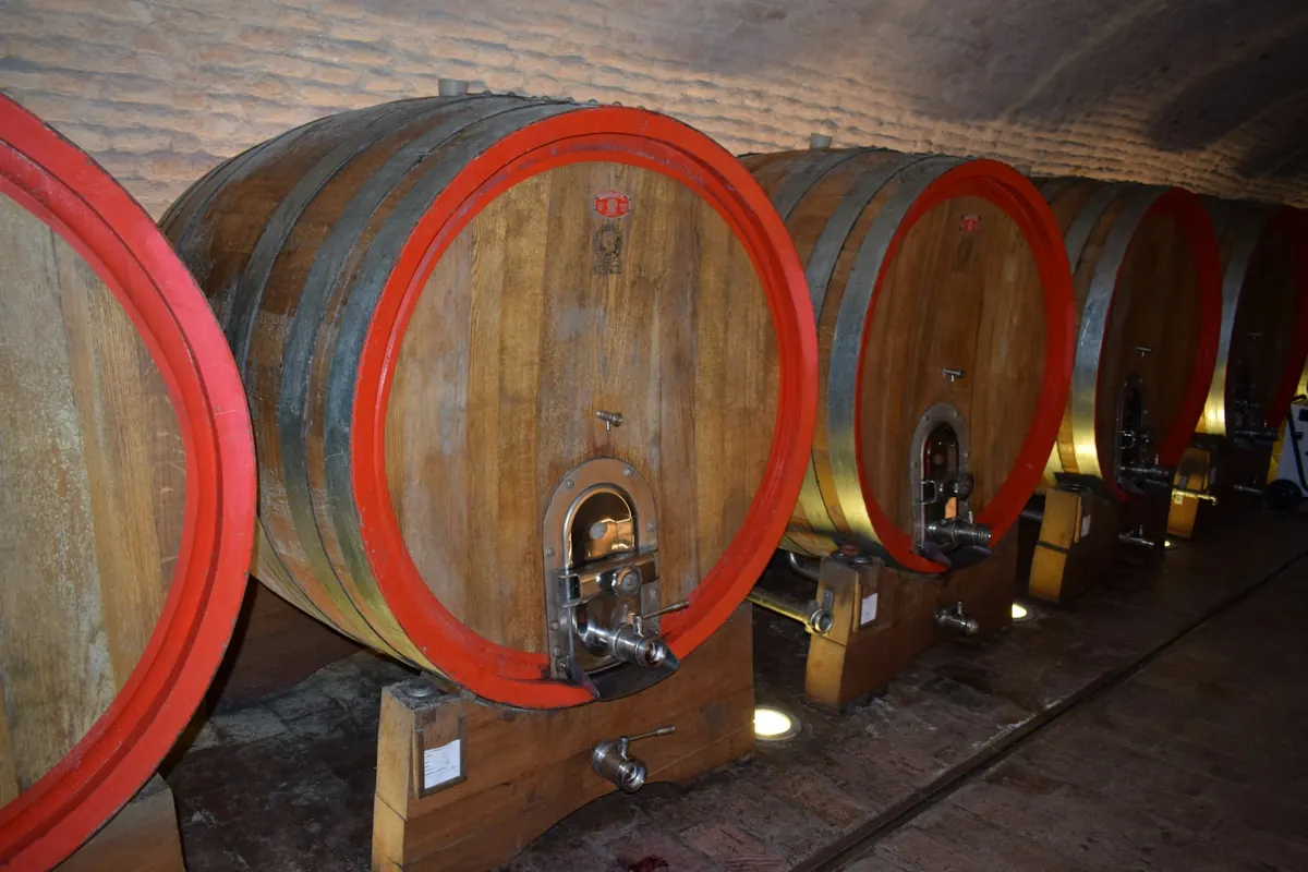 Row of large wooden wine barrels in the historic Belje wine cellar in Baranja