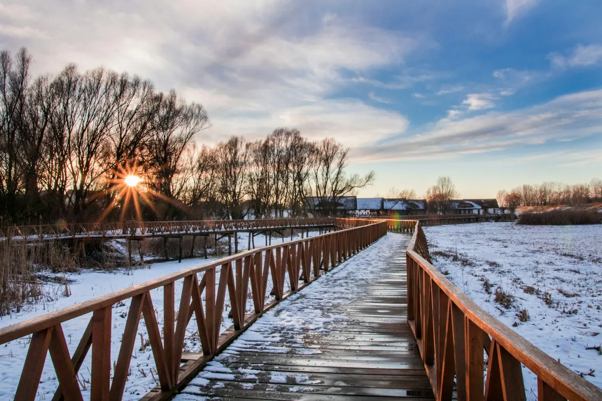Wooden boardwalk across the frozen marshland of Kopački rit at sunset in eastern Croatia